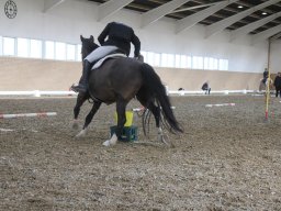 img_6020_web